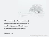 Ephesians 2:15